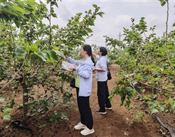 春日赴约 芳华悦己