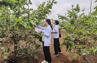 春日赴约 芳华悦己